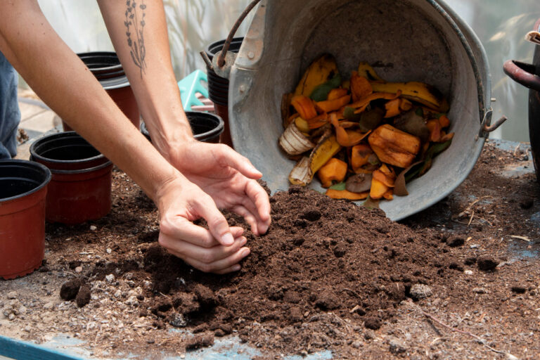 compost-still-life-concept